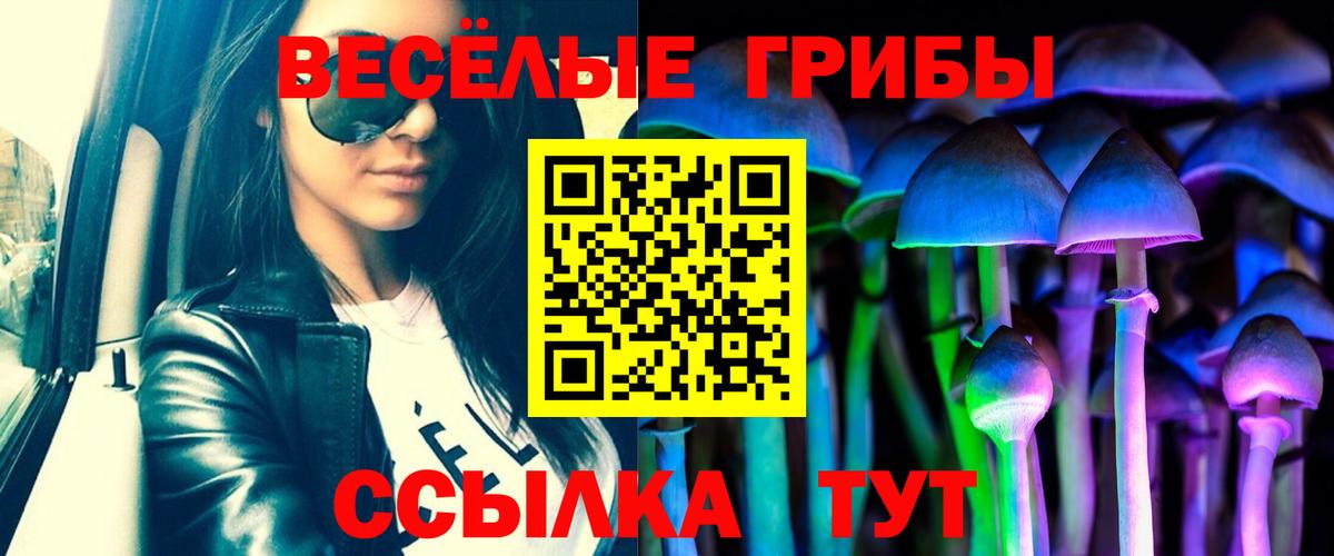 Галлюциногенные грибы MAGIC MUSHROOMS  Вход с VPN  Люберцы 