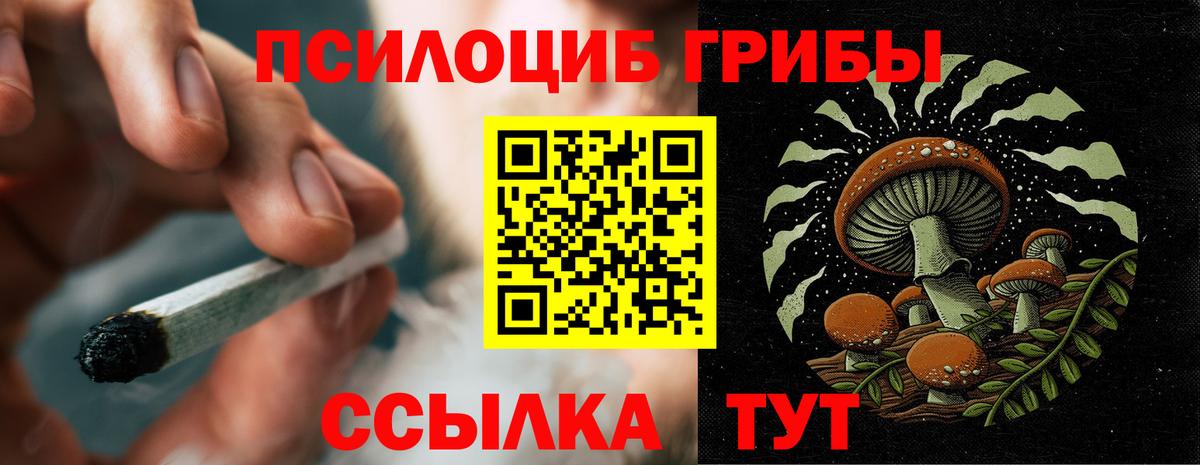 Галлюциногенные грибы мицелий Люберцы